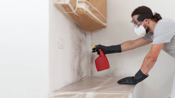 Professional Crawl Space Mold Removal technician working in Pendleton, NC