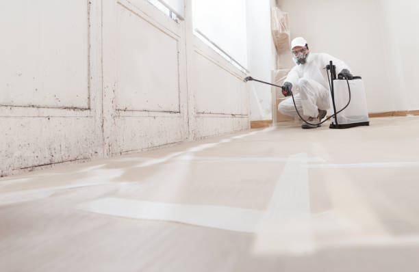 24/7 Emergency Crawl Space Mold Removal experts in Pendleton, NC