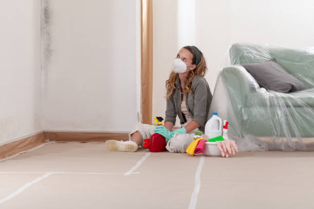 Reliable Mold Cleanup contractor in Pendleton, NC by Cheap Mold Removal